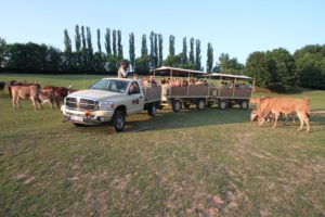 Safari Park Dvůr Králové, tipy na výlety, Informační centrum Pod Zvičinou